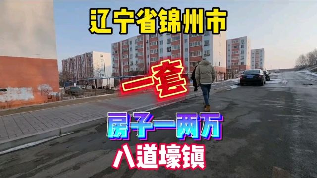 辽宁省锦州市八道壕镇真实房价一两万一套,鬼哥实地探房现场谈价#房价 #探房