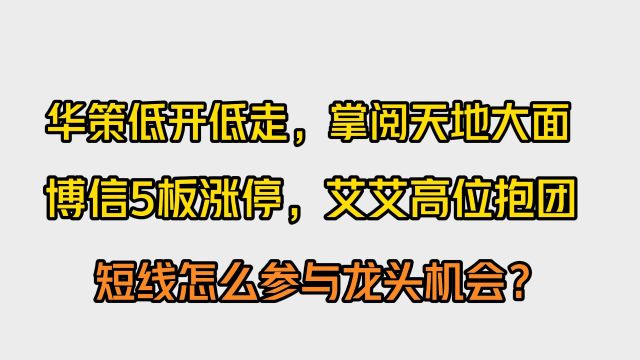 华策低开低走,掌阅天地大面,短线怎么参与龙头机会?