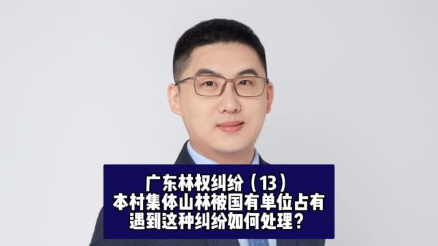 广东林权纠纷(13):本村集体山林被国有单位占有,遇到这种纠纷如何处理? #山林权属 #林权证 #林地纠纷