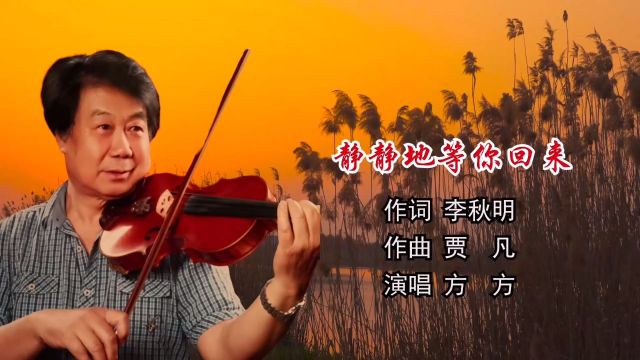 静静地等你回来 作词:李秋明 作曲:贾凡 演唱:方 方