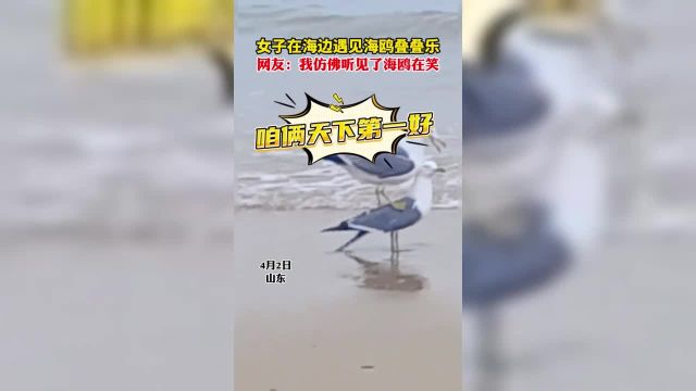 女子在海边遇见海鸥叠叠乐网友:我仿佛听见了海鸥在笑.来源:(编辑:翟佳惠)