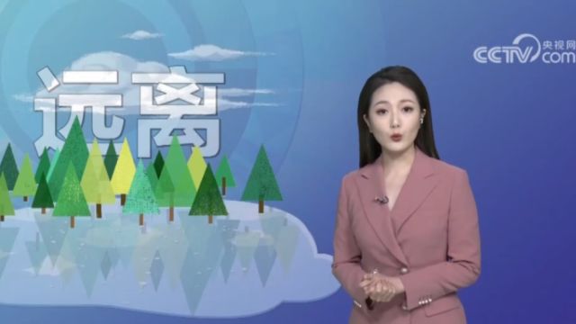 京津冀陆续进入飞絮期,4月中旬杨柳絮集中飘飞