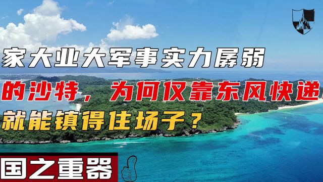 家大业大军事实力孱弱的沙特,为何仅靠东风快递就能镇得住场子?