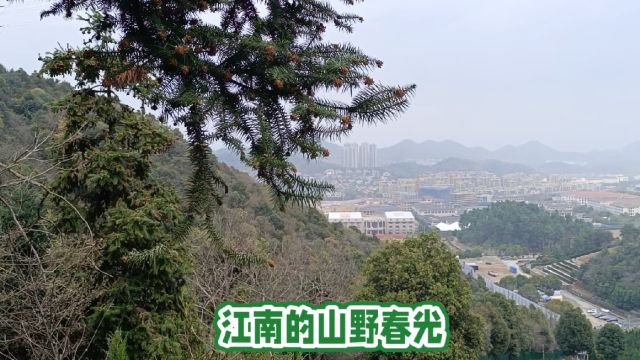 江南的山野春光