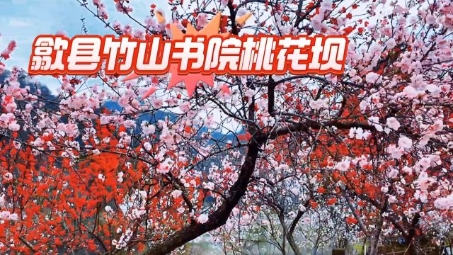 歙县雄村桃花坝竹山书院被誉为江南第一古书院