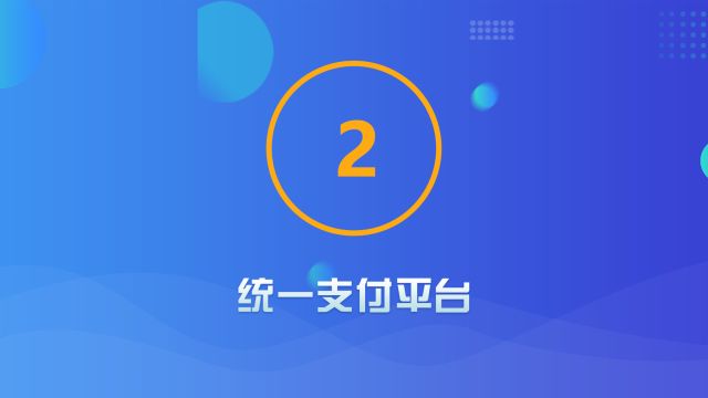 统一支付应用管理层面