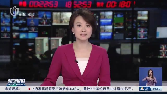 联合行动林间捉鹿 麻醉公鹿送往上海动物园