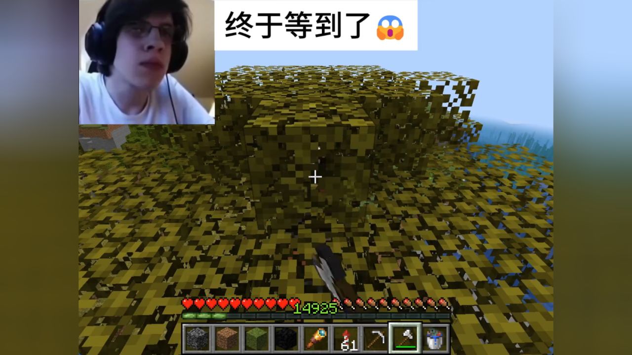 我的世界极小概率事件老祺更新 #我的世界 #我的世界撸树计划