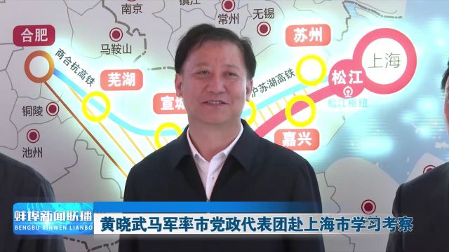 黄晓武马军率市党政代表团赴上海市学习考察