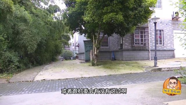 湖州这个小区公共绿化被改建私人停车位,村委会:一直允许的!