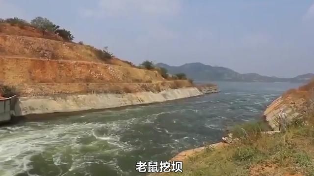 老鼠挖坝,大桥压塌,沥青地毯,印度基建斥资万亿打水漂? #2024科普时刻