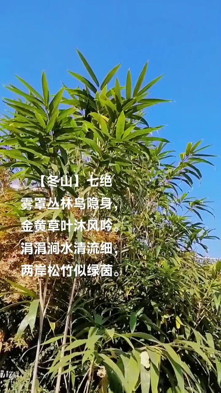 创作灵感 #冬山 #感受大自然的气息和美景 #高萍女士原创作品