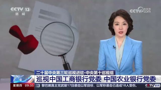 中央第十巡视组 巡视中国工商银行党委 中国农业银行党委