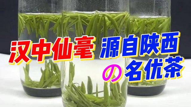 陕西名茶:汉中仙毫的冲泡秘诀,安利给大家