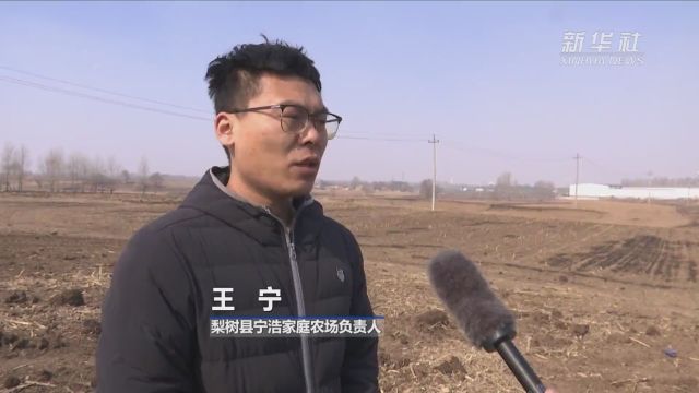 吉林四平:粪肥还田增产量 温室育苗助春耕