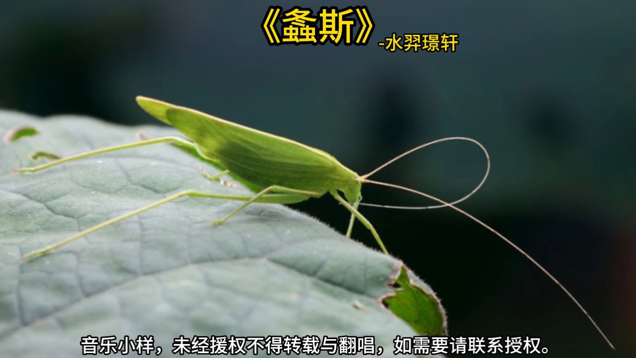 《螽斯》-水羿璟轩螽斯羽,诜诜兮.宜尔子孙,振振兮.螽斯羽,薨薨兮.