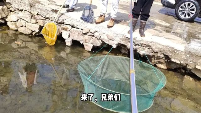 花30买的秘制捕鱼神器登场,为了破除黑8魔咒,必须再添猛料