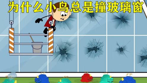 动画科普:为什么小鸟总是撞玻璃窗?_高清1080P在线观看平台_腾讯视频