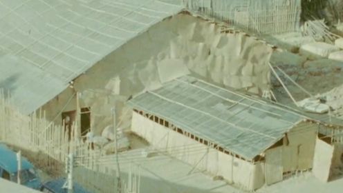 象冈山上个世纪八十年代，一次偶然的施工，揭示了震惊世人的发现