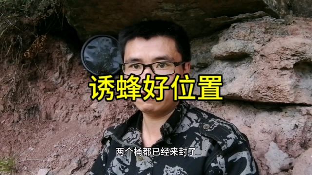 这个位置来了两群蜂,打算五月初来收蜂割蜜