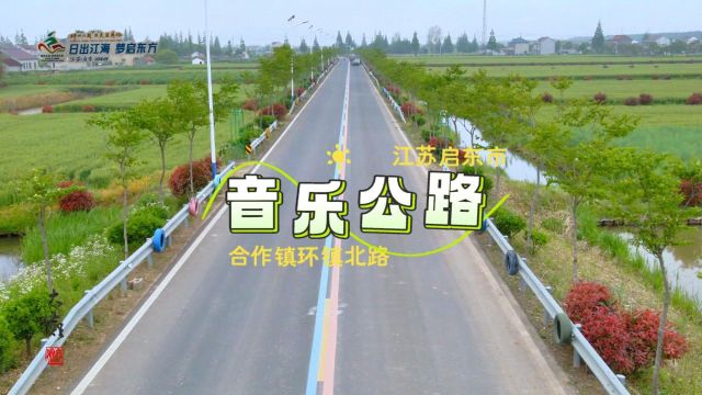 启东有条音乐公路