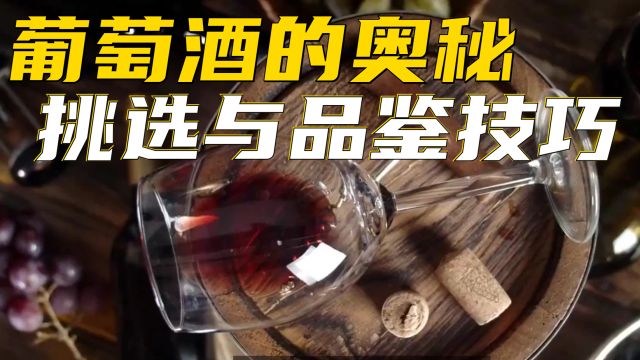 葡萄酒的奥秘:挑选与品鉴技巧