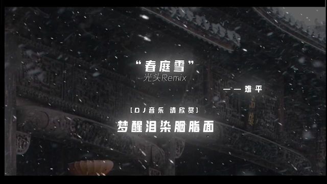 枯木犹有逢春日人且再无相逢时戴上耳机dj降调春庭雪