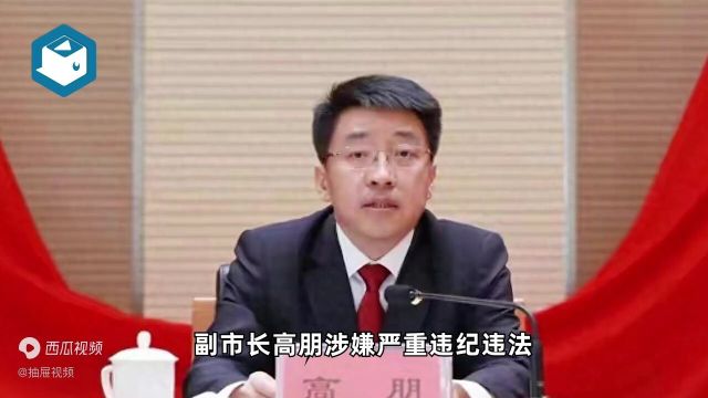 周末晚间打“虎”北京市副市长高朋被查