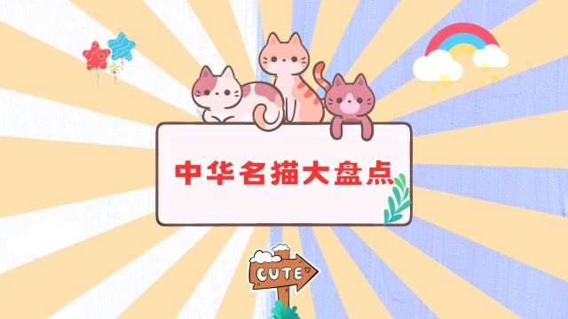 中华名猫大盘点 ,有你家主子吗?