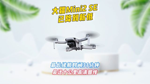 大疆Mini2 SE已降到历史新低,最长续航31分钟,最远十公里高清图传