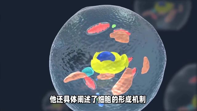 施莱登与施旺的生物学革命:细胞学说建立,动植物世界架起桥梁