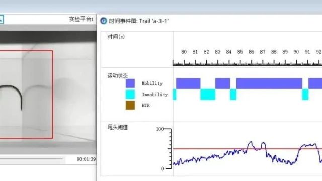 脑声常谈丨啮齿动物致幻甩头/头部抽搐反应(HTR)模型建立与评估