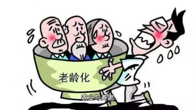 农业与养老