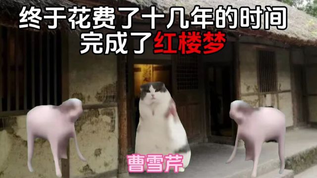 用meme的方式看完曹雪芹的一生#猫咪的迷惑行为#历史#曹雪芹#猫咪表情包