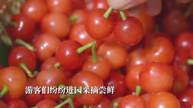 宣城市宣州区:“和美东胜ⷦ豤𝠨€Œ来”