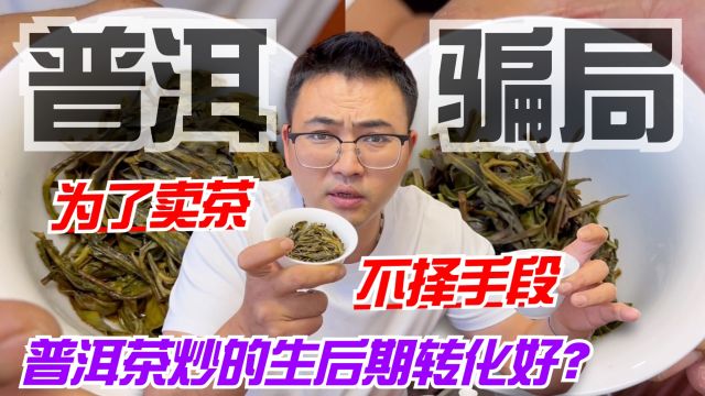 普洱茶炒的生后期转化好?为了卖茶不择手段!阿伟揭秘行业骗局!