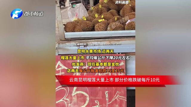 云南昆明榴莲大量上市 部分价格跌破每斤10元