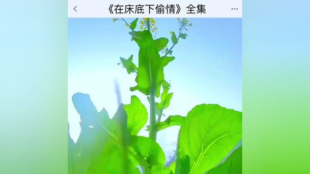 《在床底下偷情》点击下方查看后续精彩内容