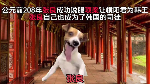 用meme的方式看完张良的一生#历史#张良#meme#猫咪日常#猫咪表情包