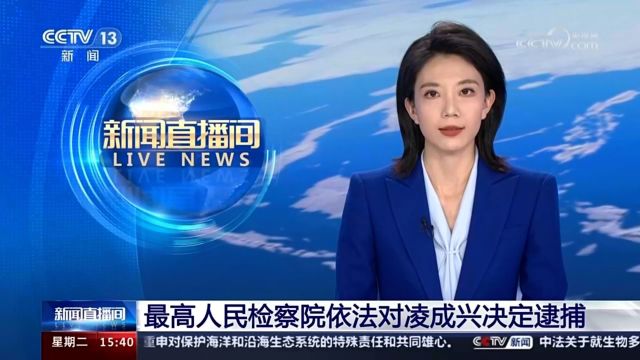 国家烟草专卖局原局长凌成兴被逮捕