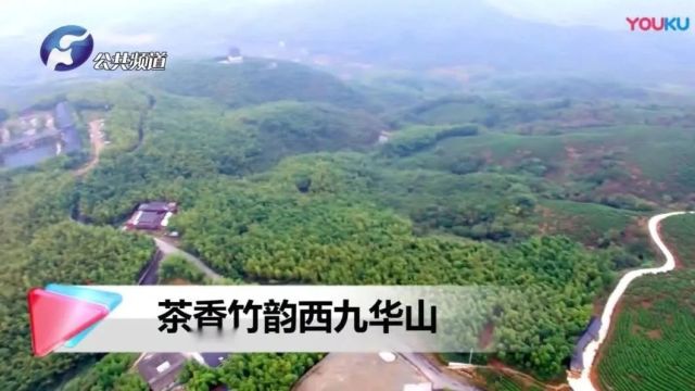 美丽中国|中华名山系列《河南西九华山》中原佛教第一道场(4A)