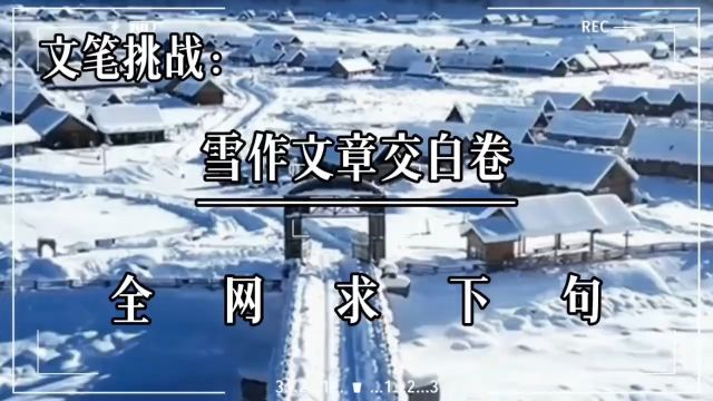 文笔挑战:雪作文章交白卷,全网求下句!