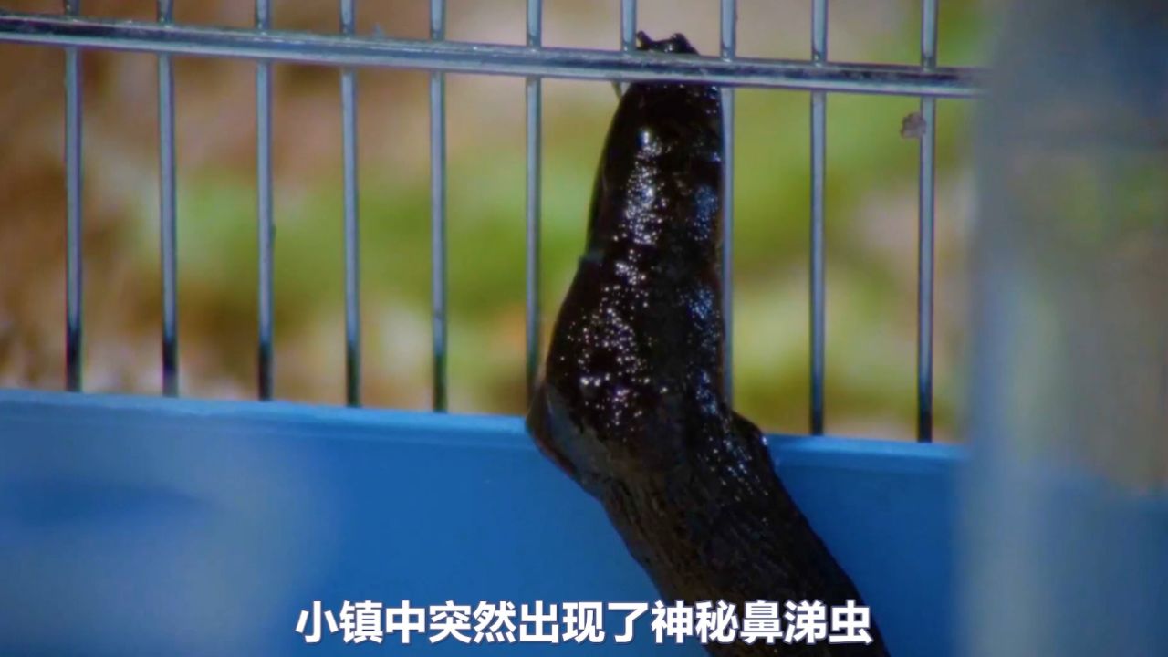 鼻涕虫竟然发生了变异,开始攻击小镇居民