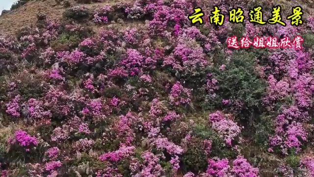 5.14.mp4 上传中...39.68%取消上传