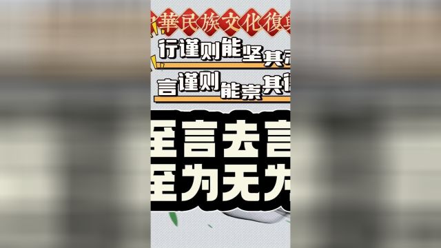 故至言去言,至为无为.浅智者之所争则末矣