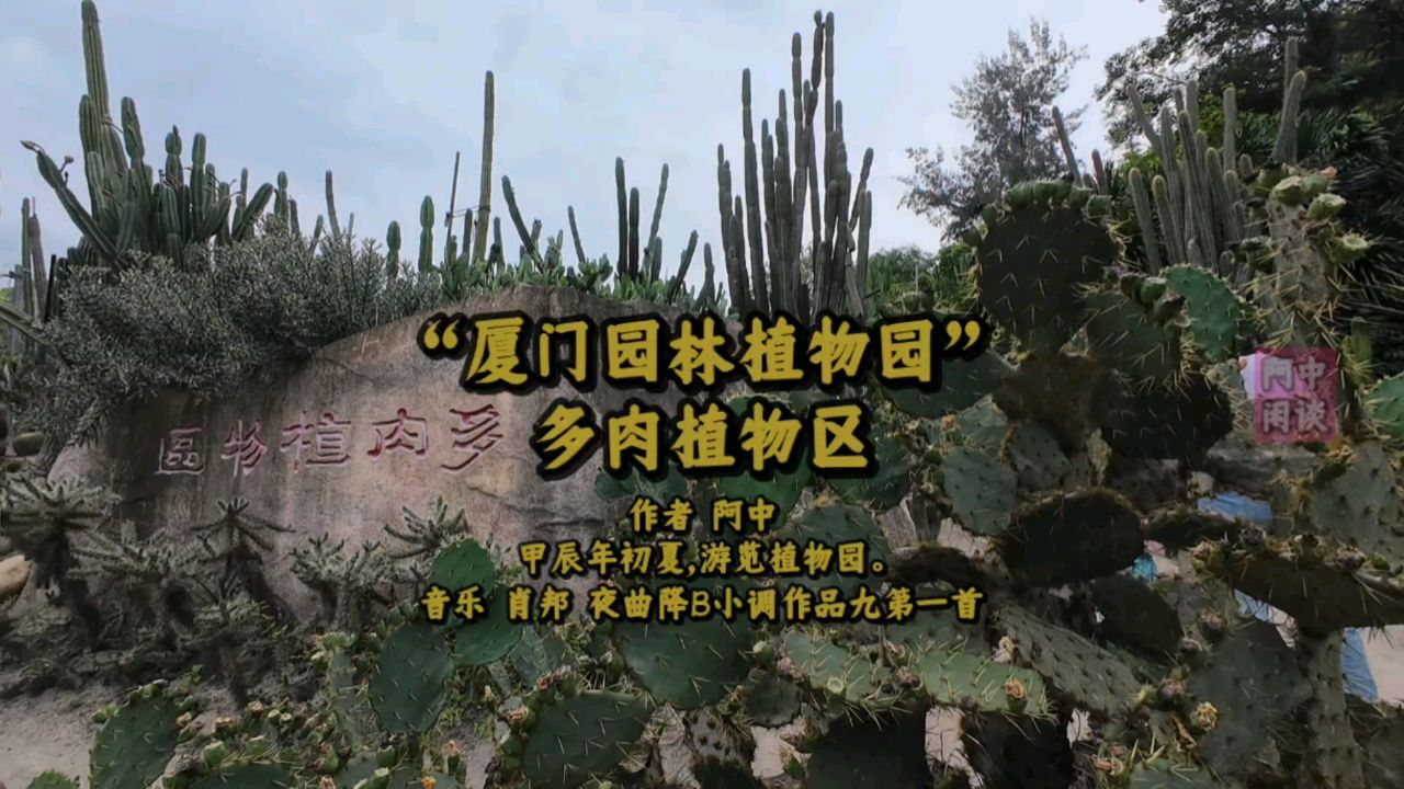 "厦门园林植物园"多肉植物区