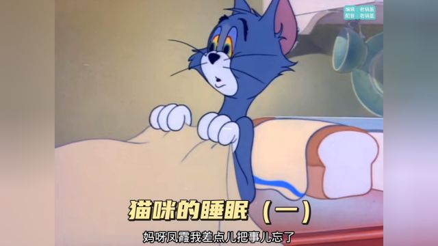 搞笑配音:猫咪的睡眠(一)