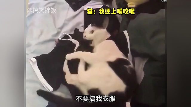 不开心#被猫咪的表情笑到了