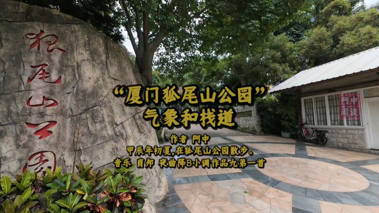 "厦门狐尾山公园"气象和栈道