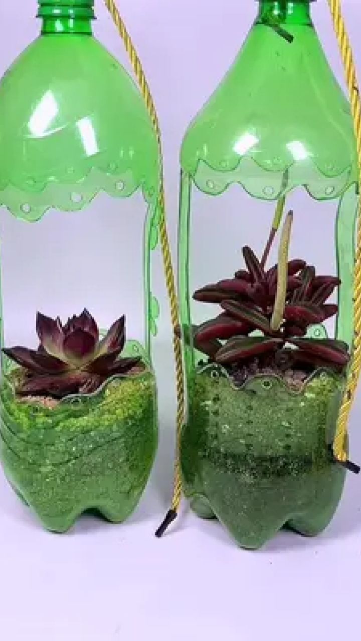 饮料瓶做花盆 悬挂式图片